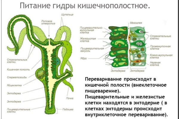 Где можно купить наркотики