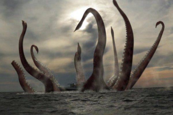 Kraken tor ссылка