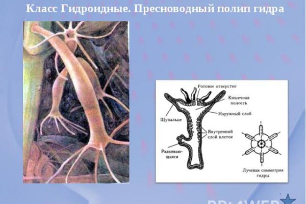 Как оформить оплату на блэкспрут через киви