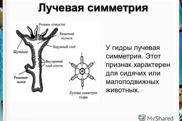 Кракен магазин vk2 top